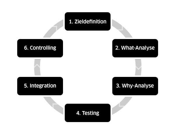 analysis-prozess